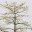 cudindepgiai.wordpress.com