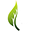 green-cab.pl