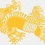 chinashengchuan.com