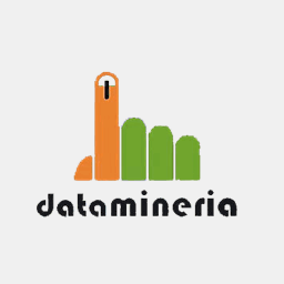 datamineria.com