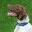 busterthegsp.wordpress.com