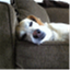 jackssleeping.com