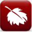 redtreesoftware.fr