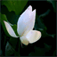 letoutmoi.over-blog.com