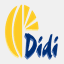 didigroup.com