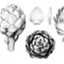 commoncomfreycookbook.com