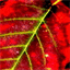 ggknightwebdesign.co.uk