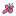 mayflyandjunebug.com