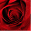 writetoinspire.org