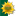 evolveeducation.in
