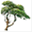 cypressnet.com