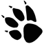 wolfpack-solutions.com