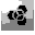 acid.name