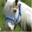 waymartequestrian.wordpress.com