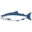 jumpinjays.com