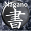 naganosyogei.jp