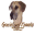 gracieland.org