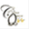 cleanqueenbusybees.com