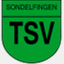 tennis.tsv-sondelfingen.de