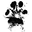 joinwolfpack.com