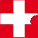 webdesign-swiss.ch