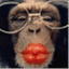 suchanaughtymonkey.wordpress.com