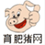 idongbao.com
