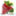 flberries.com