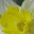 godssimplekindness.wordpress.com