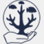 coralguardian.org