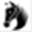 polocrossecalgary.com