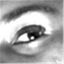 tamarachetcuti.wordpress.com
