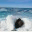 caliperspective.wordpress.com