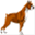 boksery.xmc.pl
