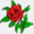 redrosecater.com