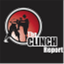 theclinchreport.com