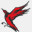 flightofswallows.com