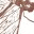 intothestrange.wordpress.com