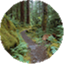 whenwelistentotrees.com