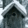 nestofsquirrels.com