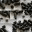 biocoal.wordpress.com