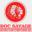 docsavageair.com
