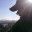 donkeytalk.wordpress.com