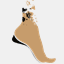 huronorthotics.com