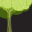 lavidastudios.com
