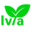 lvya.org