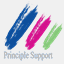 principlesupportltd.co.uk