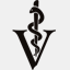 toccoa-vet.com