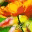astructureforspirit.com