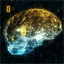 brainreality.eu